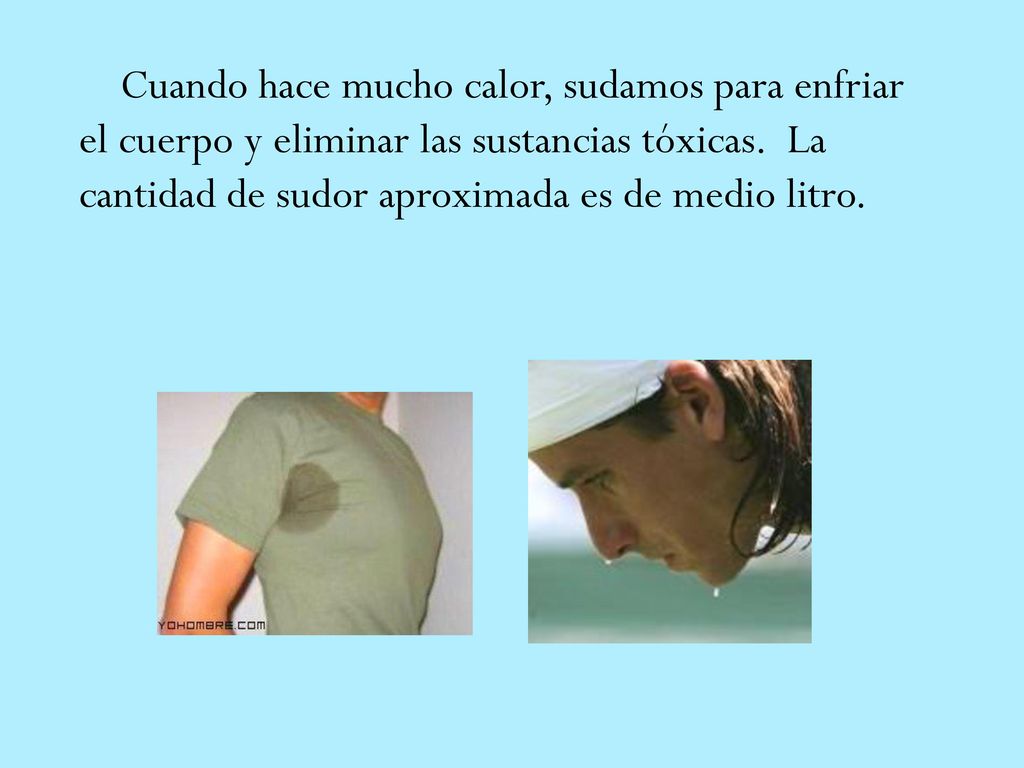 Cuando hace mucho calor, sudamos para enfriar el cuerpo y eliminar las sustancias tóxicas. La cantidad de sudor aproximada es de medio litro.