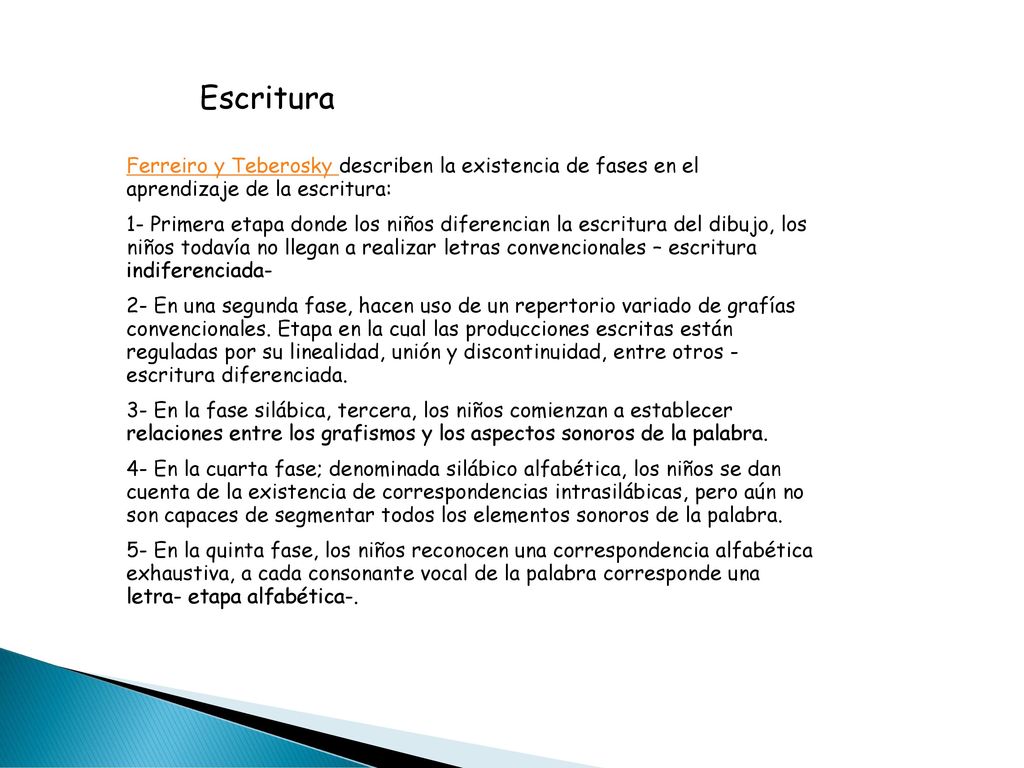 Escritura Ferreiro y Teberosky describen la existencia de fases en el aprendizaje de la escritura: