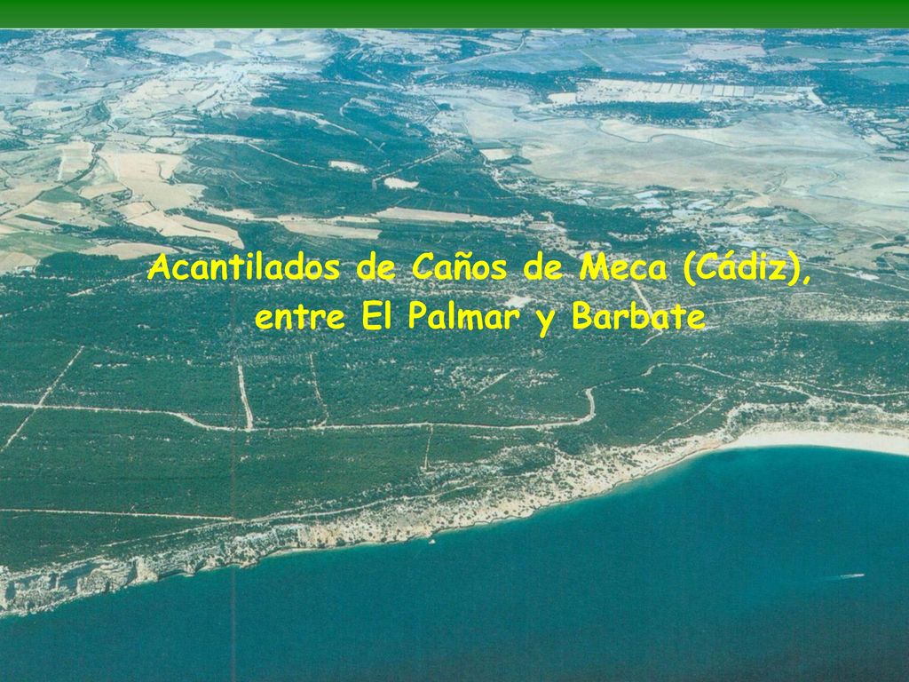 Acantilados de Caños de Meca (Cádiz), entre El Palmar y Barbate