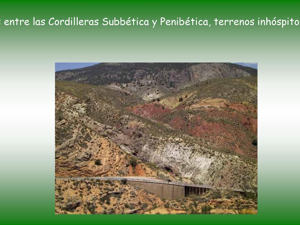 Las Hoyas de Guadix y Baza, situadas entre las Cordilleras Subbética y Penibética, terrenos inhóspitos por su frío clima y escasa vegetación.