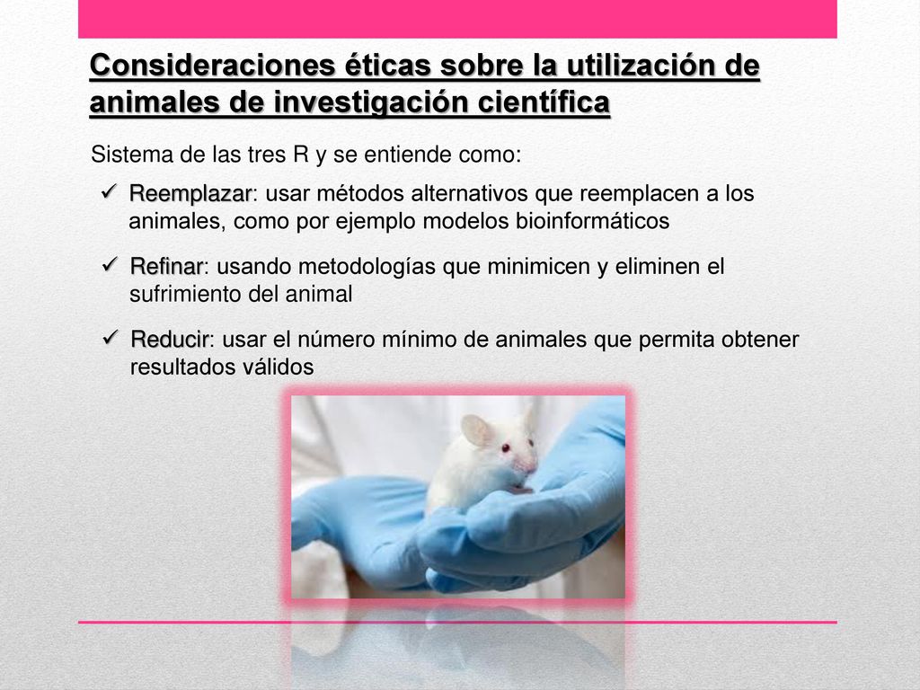 Consideraciones éticas sobre la utilización de animales de investigación científica