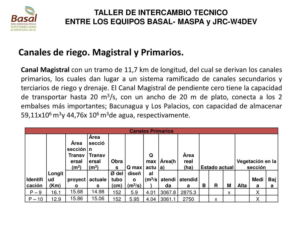 ENTRE LOS EQUIPOS BASAL- MASPA y JRC-W4DEV Vegetación en la sección
