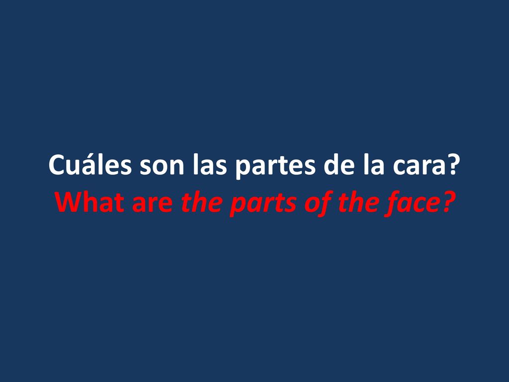 Cuáles son las partes de la cara What are the parts of the face