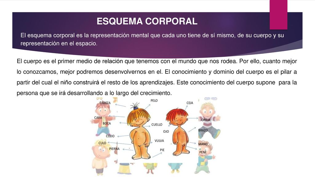 ESQUEMA CORPORAL El esquema corporal es la representación mental que cada uno tiene de sí mismo, de su cuerpo y su representación en el espacio.