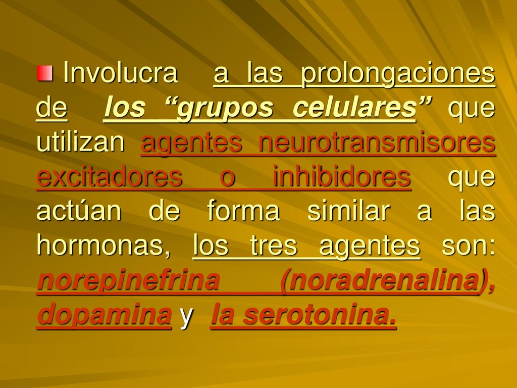 Involucra a las prolongaciones de los grupos celulares que utilizan agentes neurotransmisores excitadores o inhibidores que actúan de forma similar a las hormonas, los tres agentes son: norepinefrina (noradrenalina), dopamina y la serotonina.