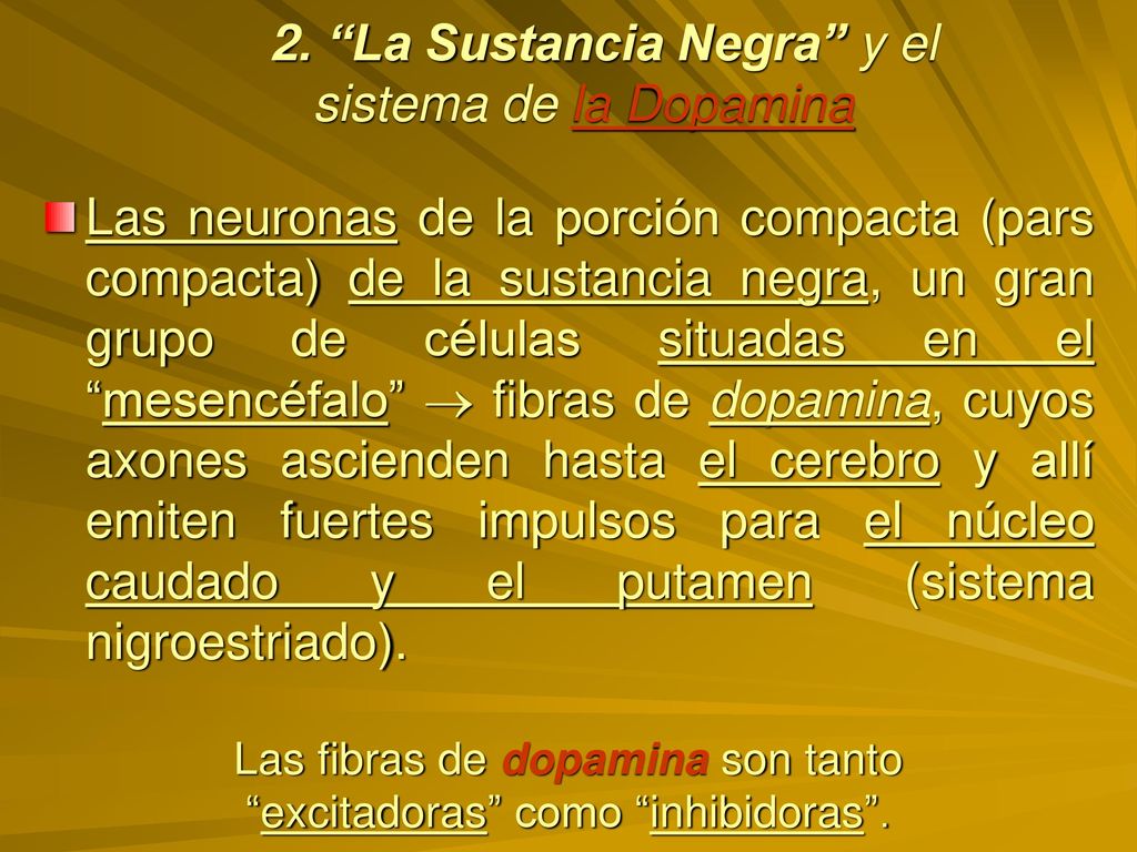 2. La Sustancia Negra y el sistema de la Dopamina