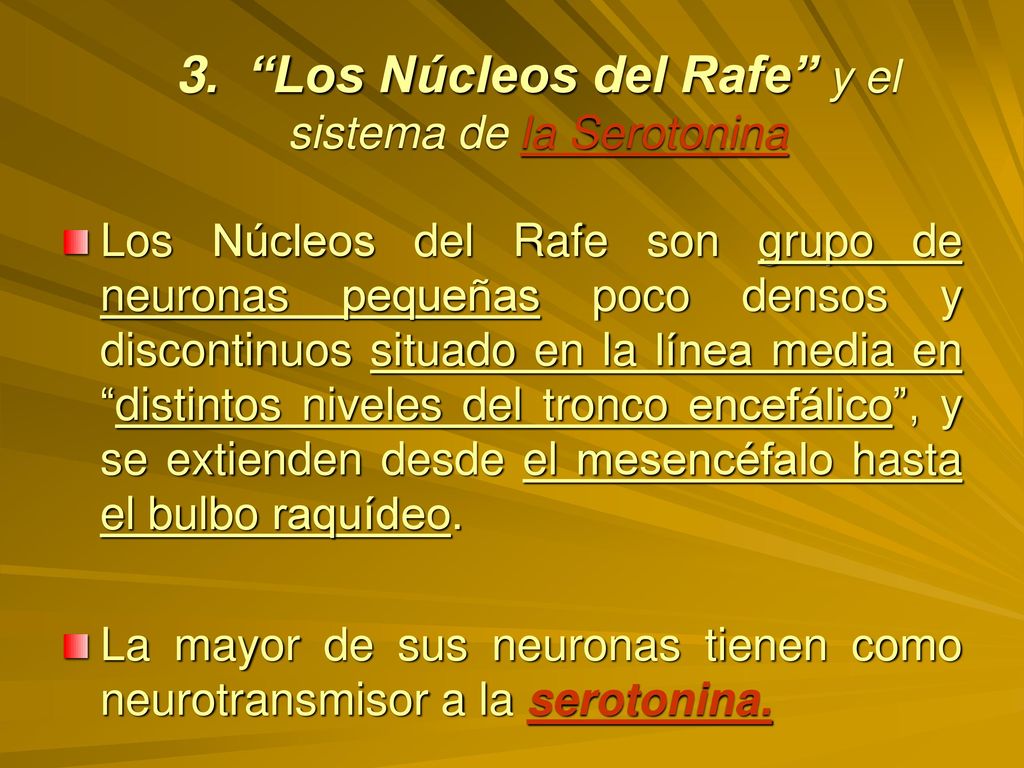 3. Los Núcleos del Rafe y el sistema de la Serotonina