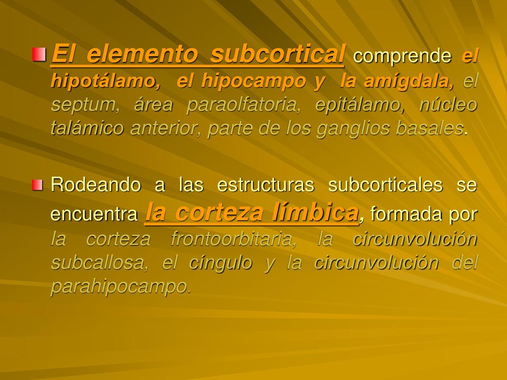 El elemento subcortical comprende el hipotálamo, el hipocampo y la amígdala, el septum, área paraolfatoria, epitálamo, núcleo talámico anterior, parte de los ganglios basales.