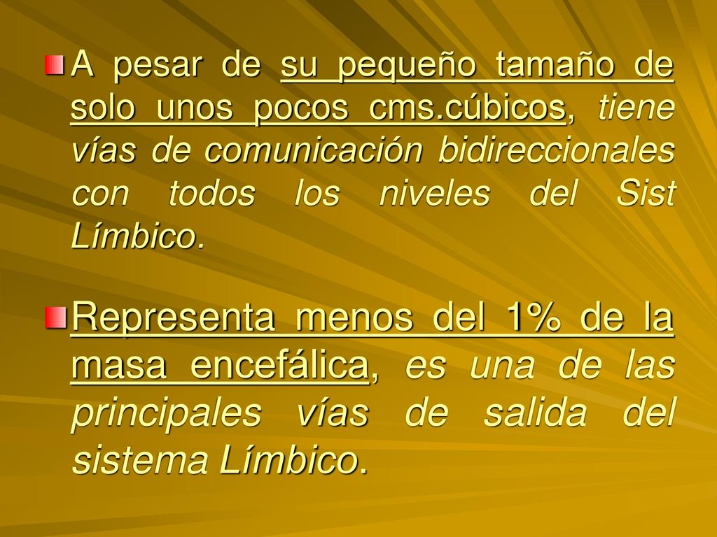 A pesar de su pequeño tamaño de solo unos pocos cms