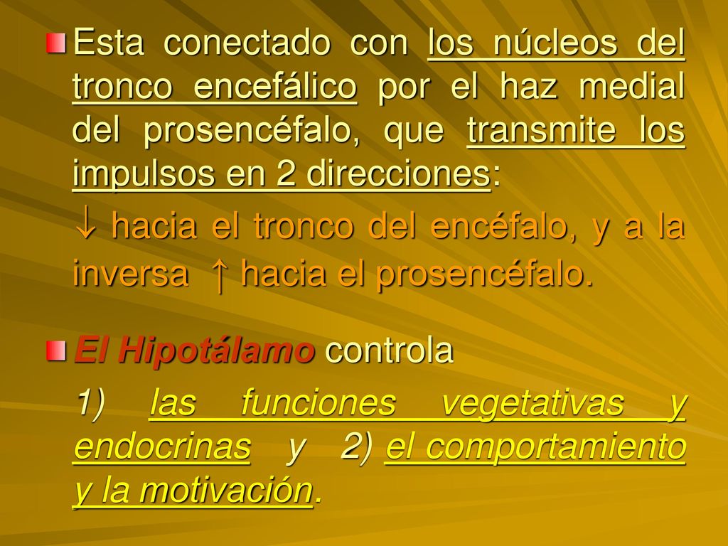 Esta conectado con los núcleos del tronco encefálico por el haz medial del prosencéfalo, que transmite los impulsos en 2 direcciones: