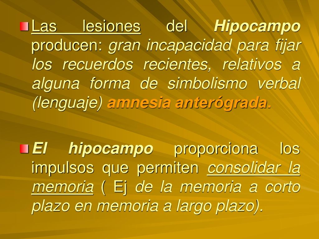 Las lesiones del Hipocampo producen: gran incapacidad para fijar los recuerdos recientes, relativos a alguna forma de simbolismo verbal (lenguaje) amnesia anterógrada.