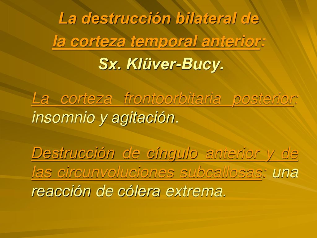 La destrucción bilateral de la corteza temporal anterior: