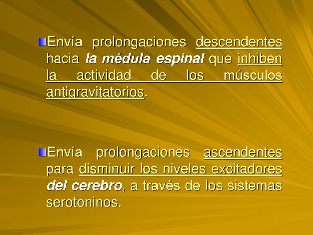Envía prolongaciones descendentes hacia la médula espinal que inhiben la actividad de los músculos antigravitatorios.