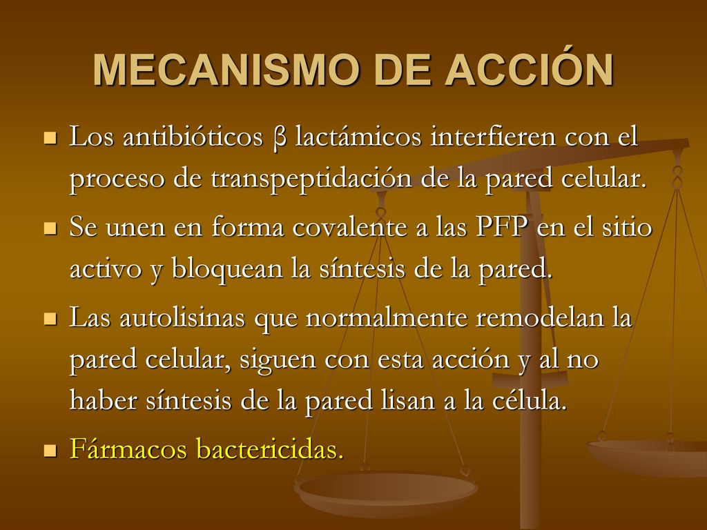 MECANISMO DE ACCIÓN Los antibióticos β lactámicos interfieren con el proceso de transpeptidación de la pared celular.