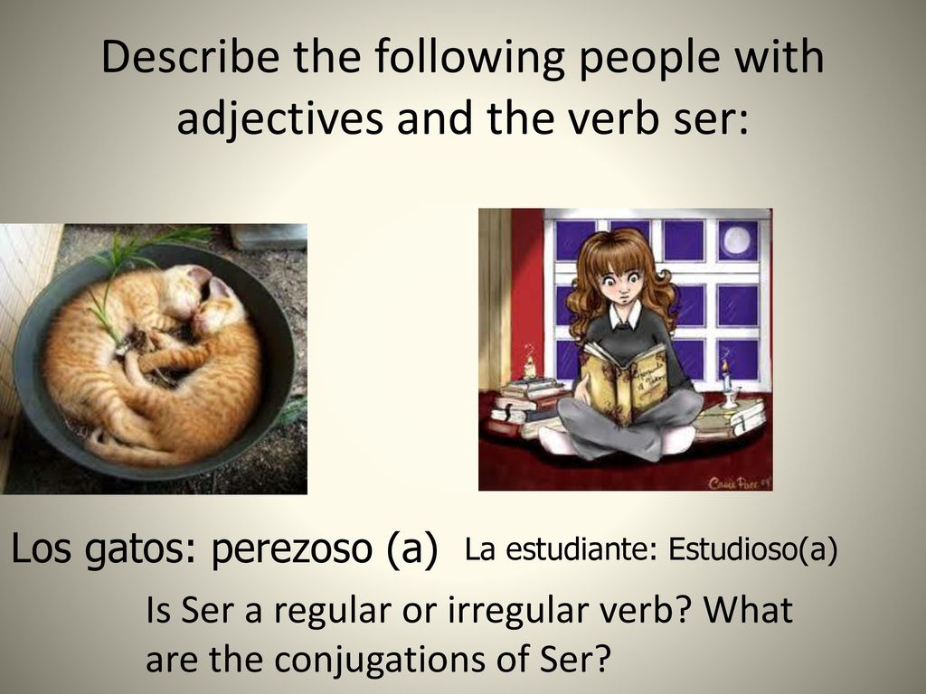 Describe the following people with adjectives and the verb ser: