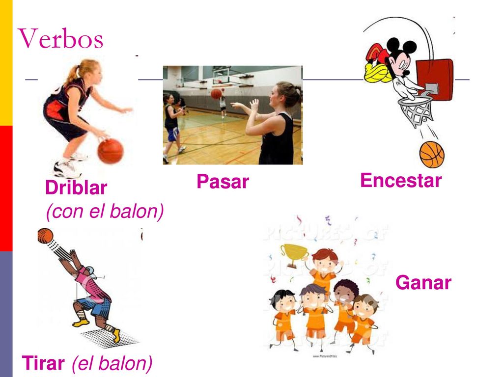Verbos Pasar Encestar Driblar (con el balon) Ganar Tirar (el balon)