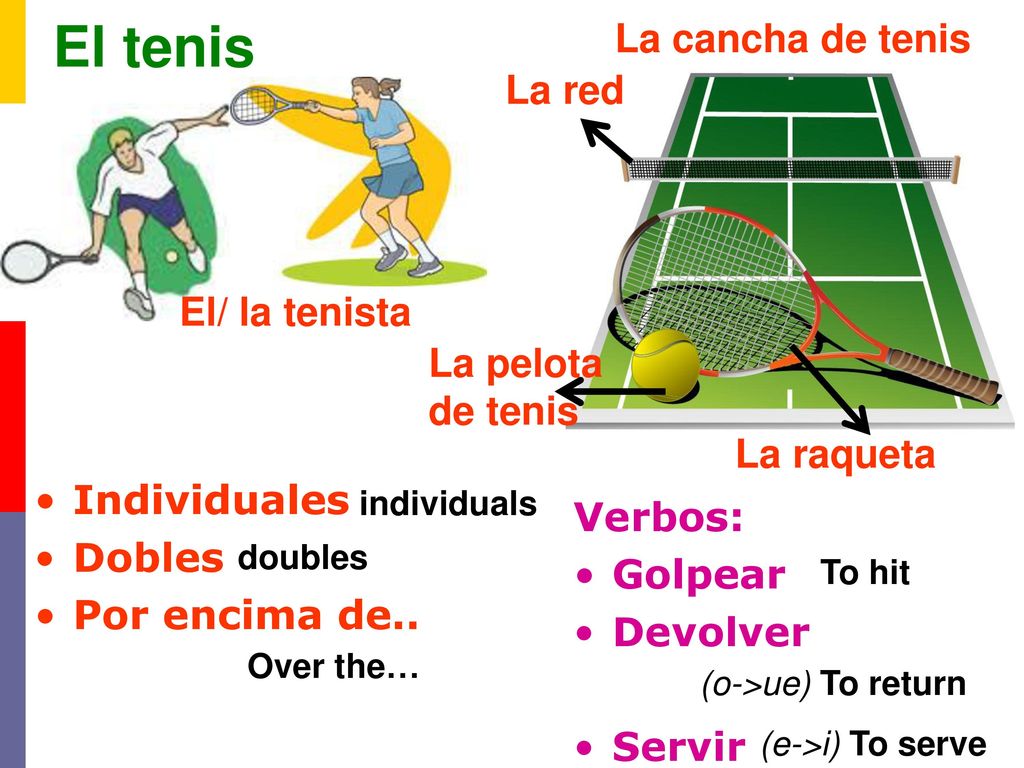 El tenis La cancha de tenis La red El/ la tenista La pelota de tenis