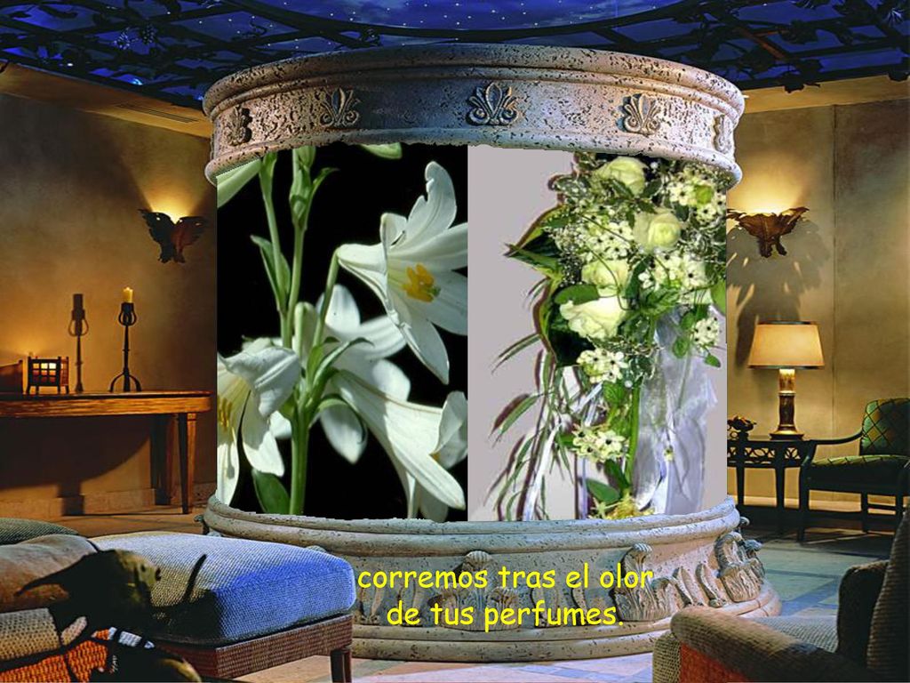 corremos tras el olor de tus perfumes.
