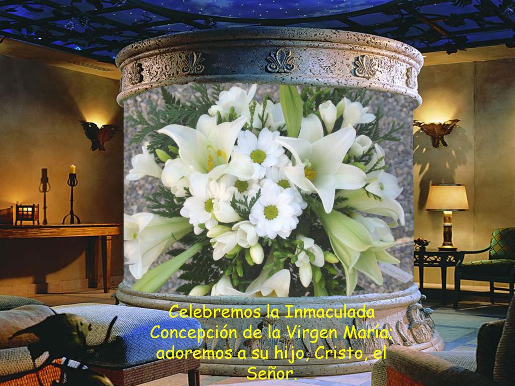 Celebremos la Inmaculada Concepción de la Virgen María; adoremos a su hijo, Cristo, el Señor.