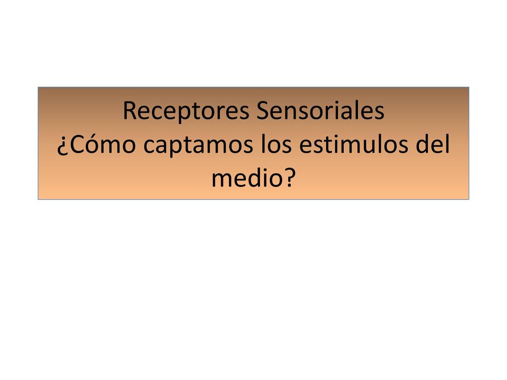 Receptores Sensoriales ¿Cómo captamos los estimulos del medio