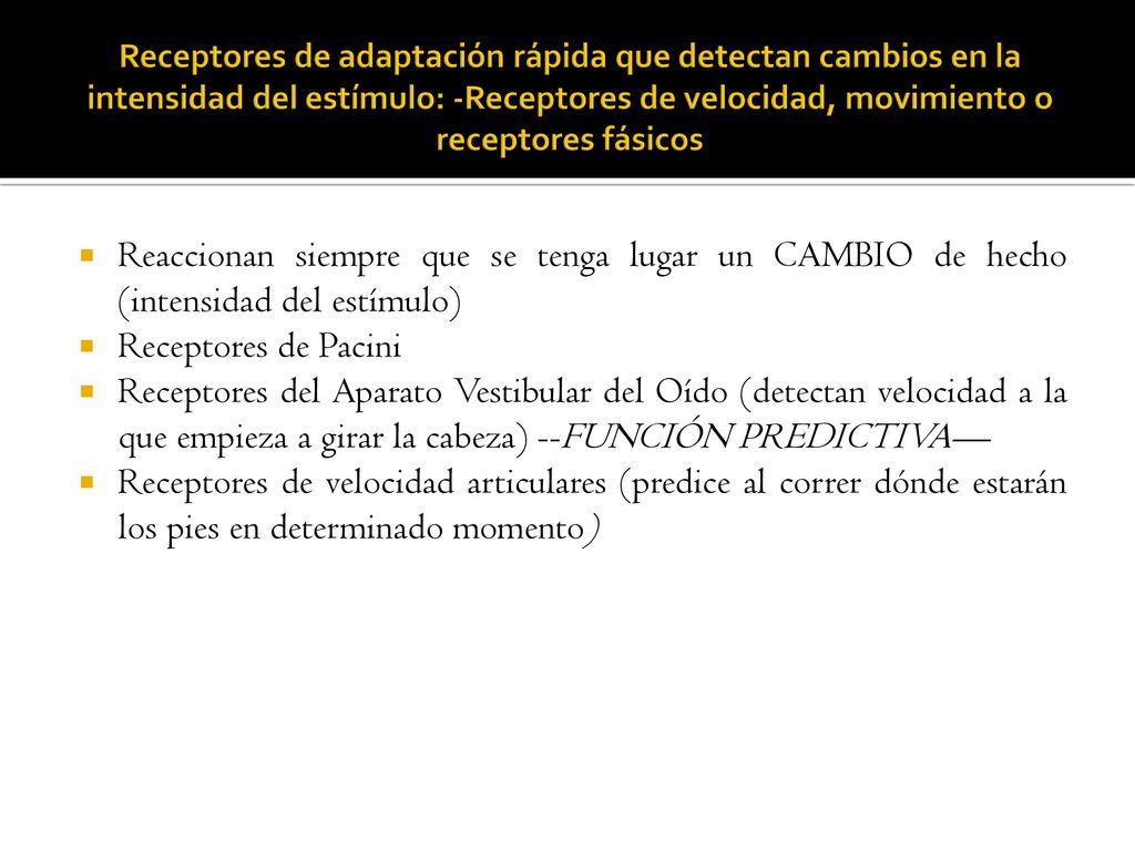 Receptores de adaptación rápida que detectan cambios en la intensidad del estímulo: -Receptores de velocidad, movimiento o receptores fásicos