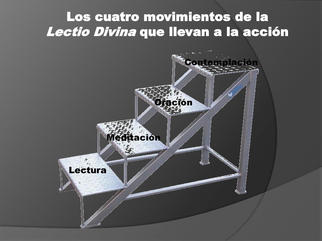 Los cuatro movimientos de la Lectio Divina que llevan a la acción