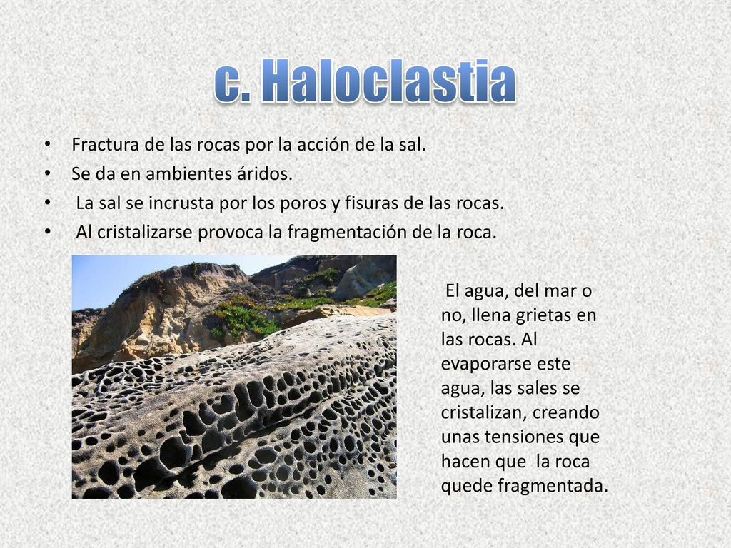 c. Haloclastia Fractura de las rocas por la acción de la sal.