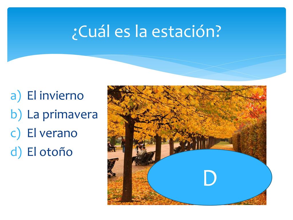 ¿Cuál es la estación El invierno La primavera El verano El otoño D
