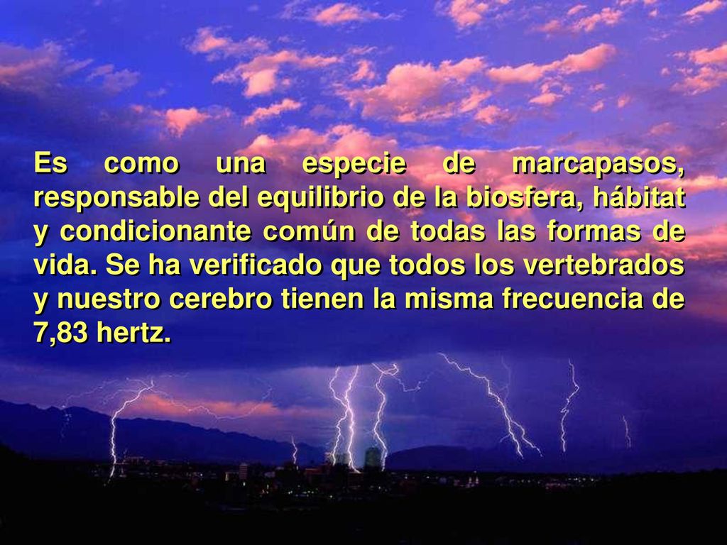 Es como una especie de marcapasos, responsable del equilibrio de la biosfera, hábitat y condicionante común de todas las formas de vida.
