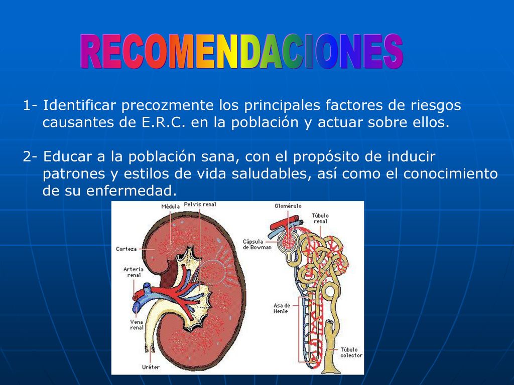 RECOMENDACIONES 1- Identificar precozmente los principales factores de riesgos. causantes de E.R.C. en la población y actuar sobre ellos.