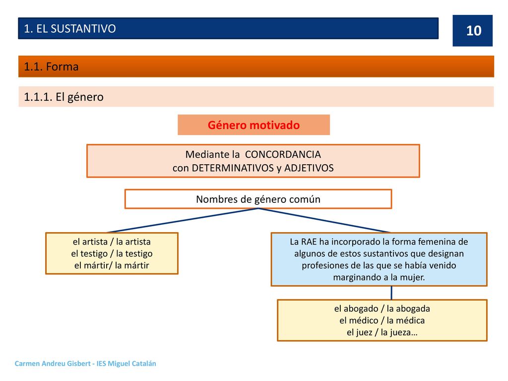 1. EL SUSTANTIVO 1.1. Forma El género Género motivado