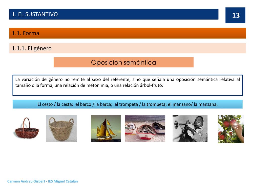 1. EL SUSTANTIVO 1.1. Forma El género Oposición semántica