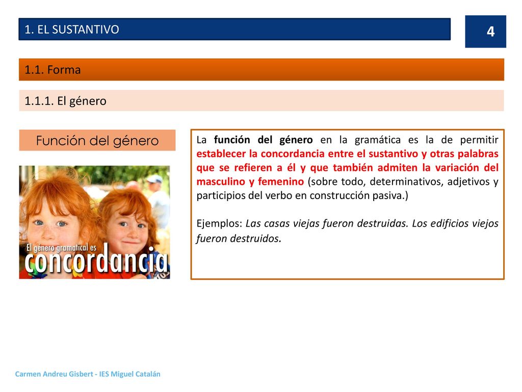 1. EL SUSTANTIVO 1.1. Forma El género Función del género