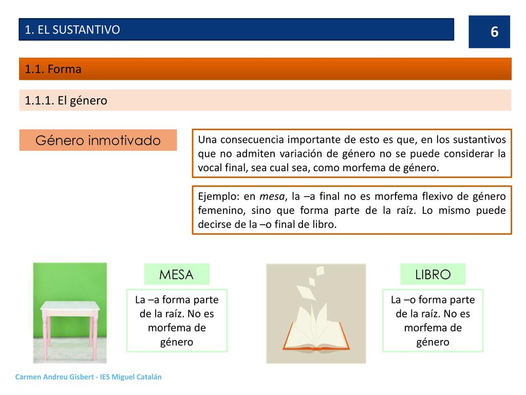 1. EL SUSTANTIVO 1.1. Forma El género Género inmotivado MESA