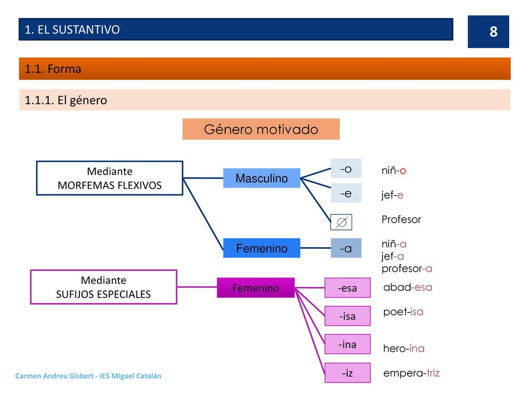 1. EL SUSTANTIVO 1.1. Forma El género Género motivado Mediante
