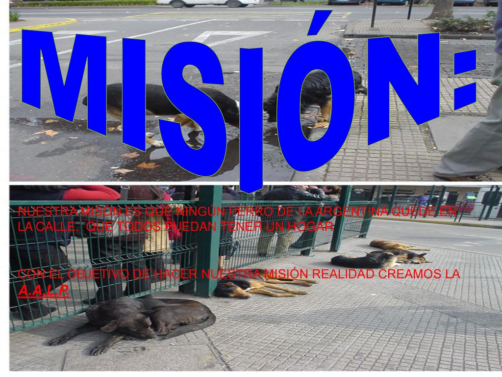 MISIÓN: NUESTRA MISÓN ES QUE NINGÚN PERRO DE LA ARGENTINA QUEDE EN LA CALLE, QUE TODOS PUEDAN TENER UN HOGAR.