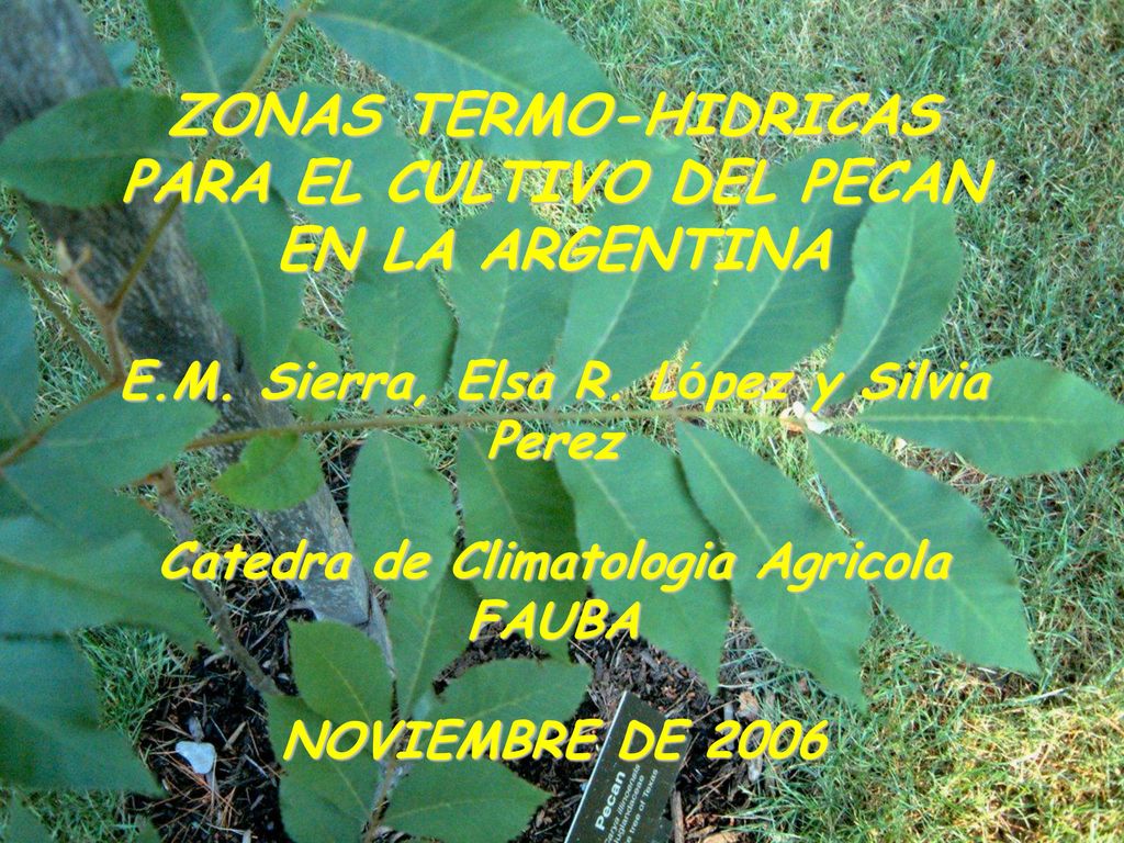 ZONAS TERMO-HIDRICAS PARA EL CULTIVO DEL PECAN EN LA ARGENTINA