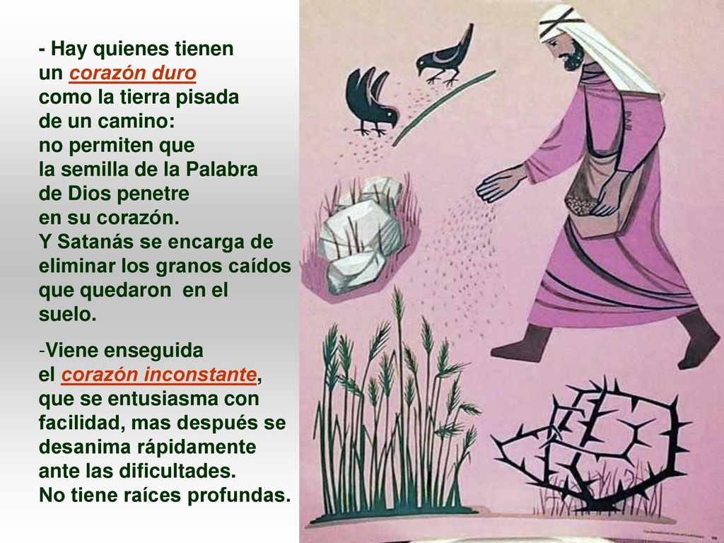 - Hay quienes tienen un corazón duro. como la tierra pisada. de un camino: no permiten que. la semilla de la Palabra.