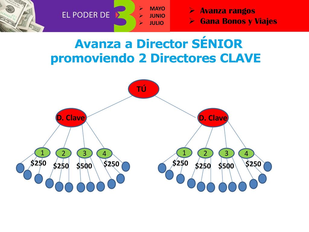 Avanza a Director SÉNIOR promoviendo 2 Directores CLAVE