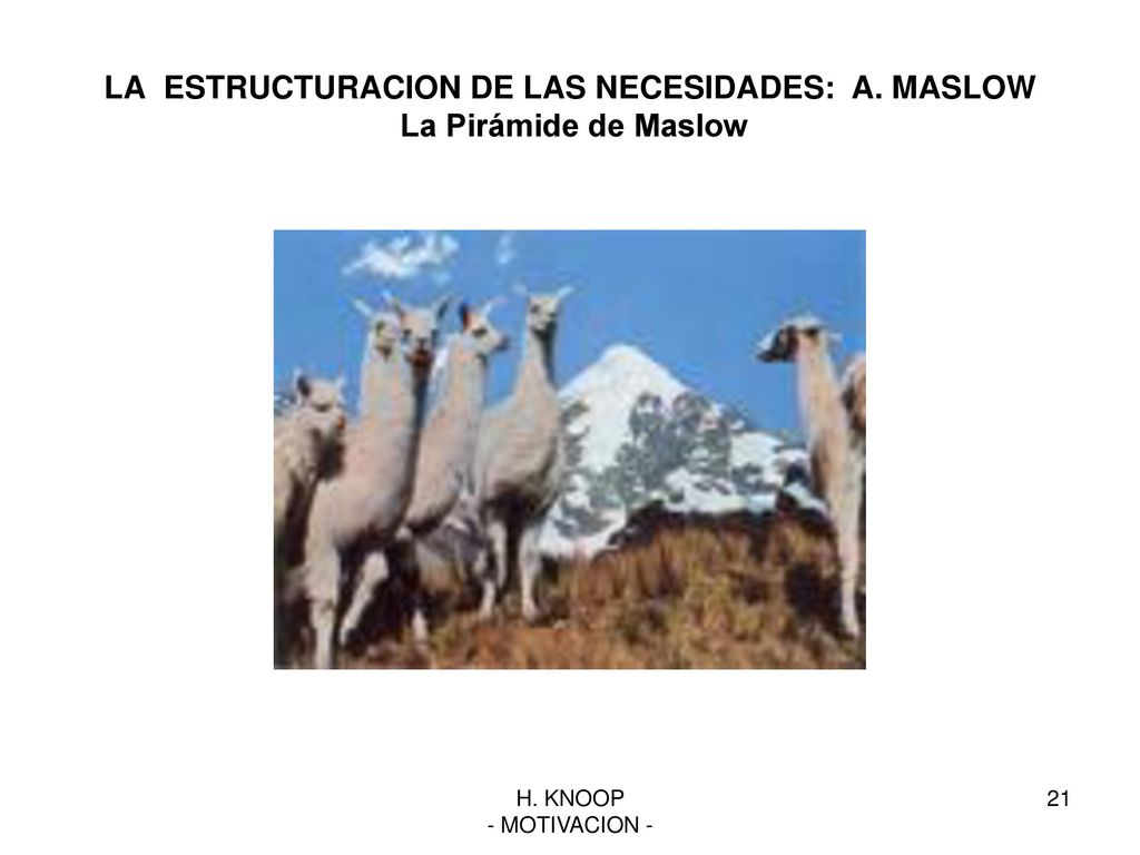 LA ESTRUCTURACION DE LAS NECESIDADES: A. MASLOW La Pirámide de Maslow