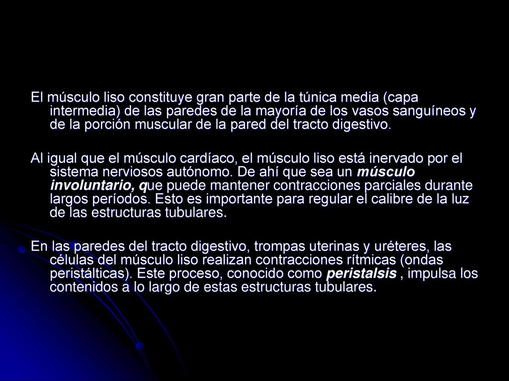 El músculo liso constituye gran parte de la túnica media (capa intermedia) de las paredes de la mayoría de los vasos sanguíneos y de la porción muscular de la pared del tracto digestivo.