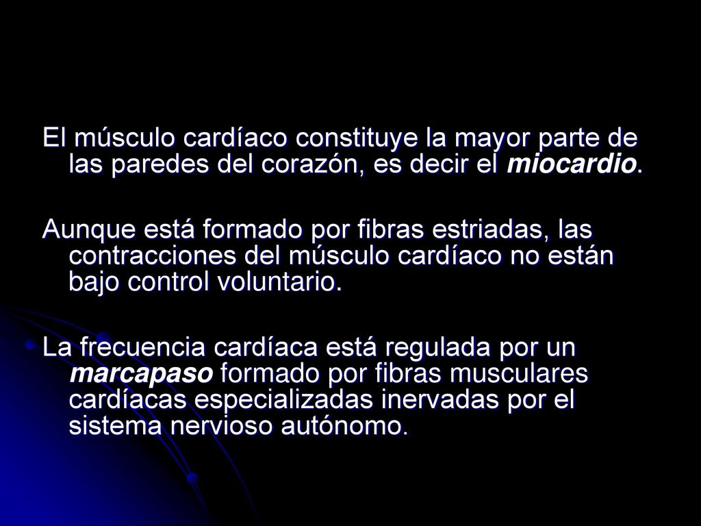 El músculo cardíaco constituye la mayor parte de las paredes del corazón, es decir el miocardio.