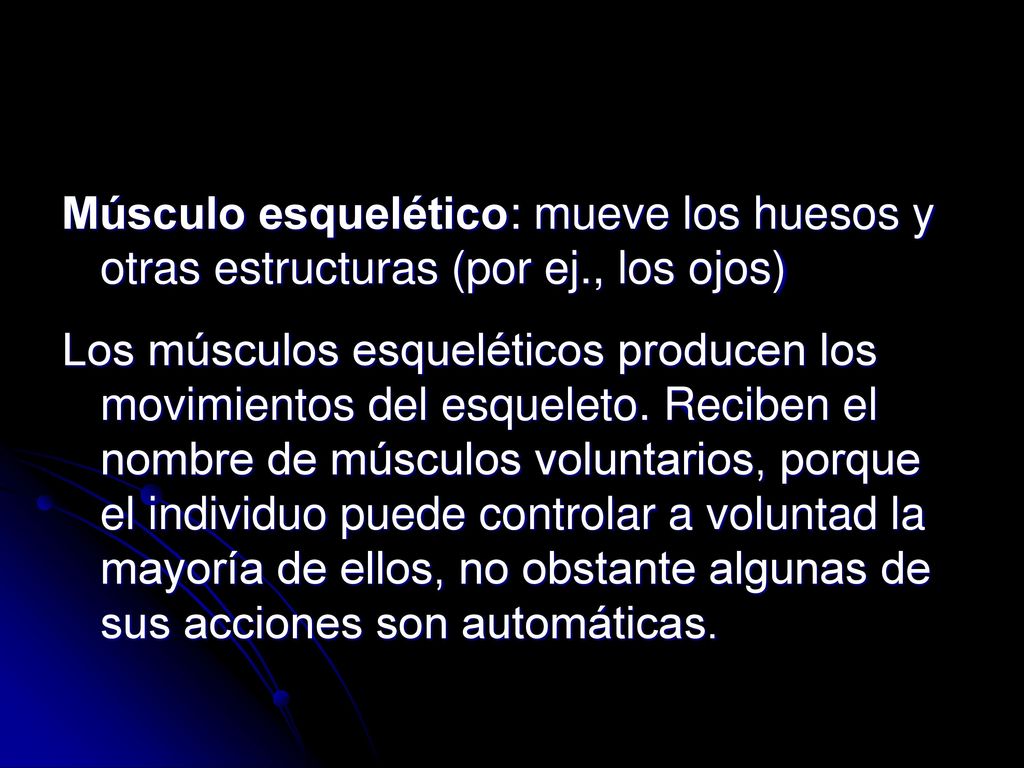 Músculo esquelético: mueve los huesos y otras estructuras (por ej