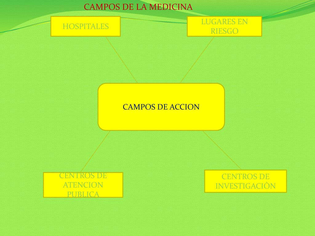 CAMPOS DE LA MEDICINA LUGARES EN RIESGO HOSPITALES CAMPOS DE ACCION