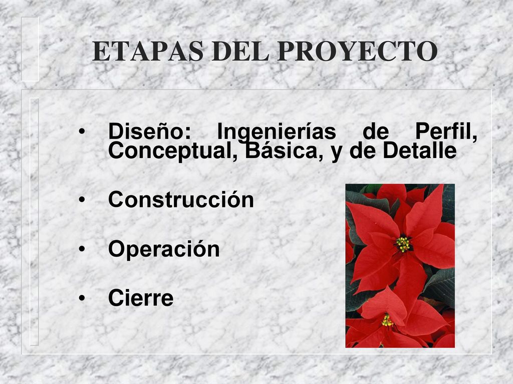 ETAPAS DEL PROYECTO Diseño: Ingenierías de Perfil, Conceptual, Básica, y de Detalle. Construcción.