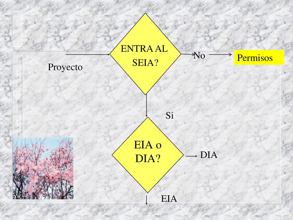ENTRA AL SEIA No Permisos Proyecto Si EIA o DIA DIA EIA