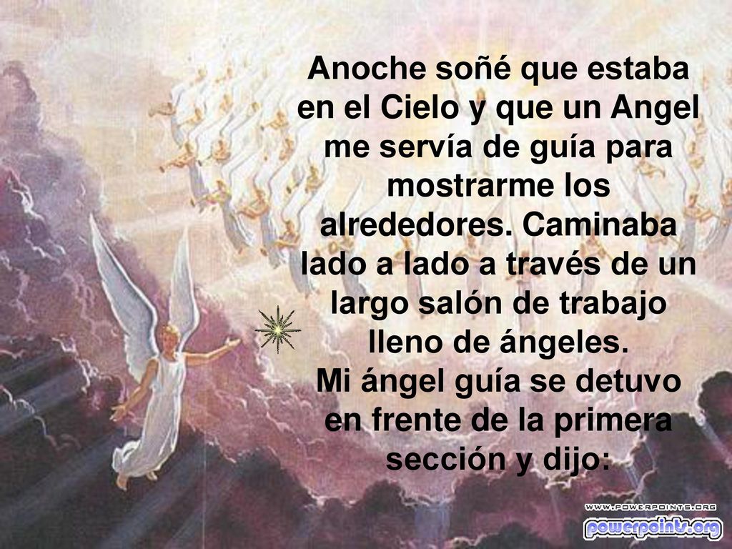 Mi ángel guía se detuvo en frente de la primera sección y dijo: