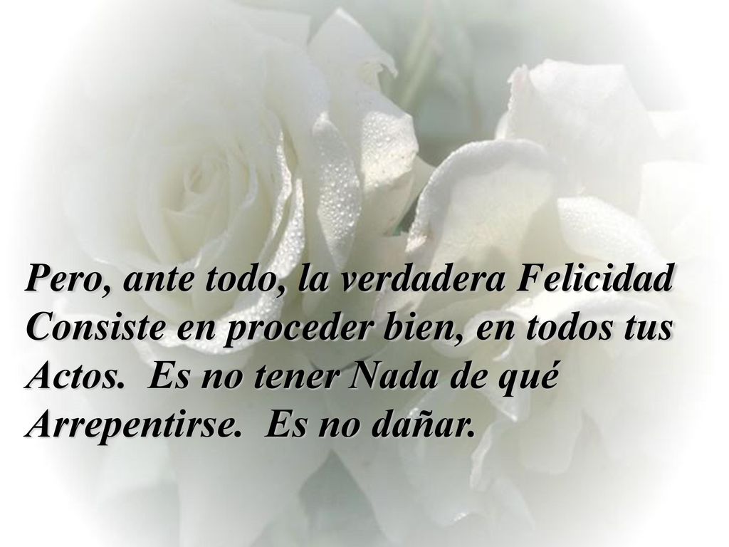 Pero, ante todo, la verdadera Felicidad Consiste en proceder bien, en todos tus Actos. Es no tener Nada de qué Arrepentirse. Es no dañar.