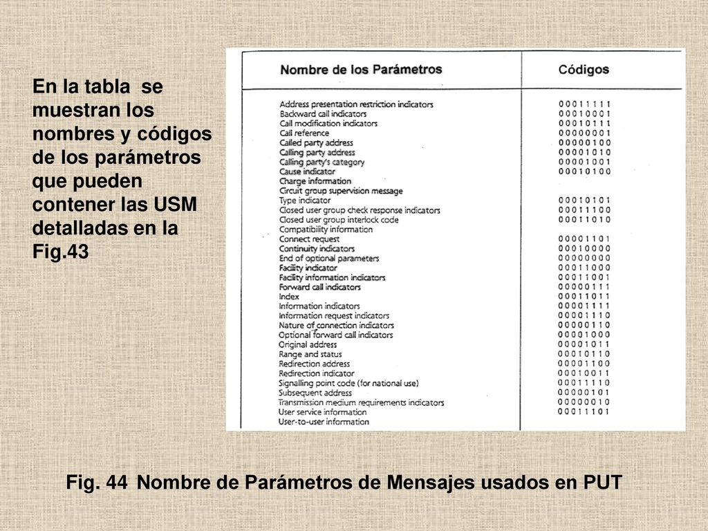 En la tabla se muestran los nombres y códigos de los parámetros que pueden contener las USM detalladas en la Fig.43