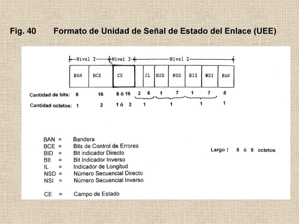 Fig. 40 Formato de Unidad de Señal de Estado del Enlace (UEE)